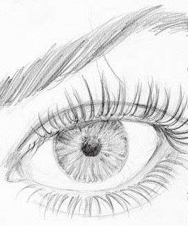 stage per capi sull' abilità manuale (disegno) "Carta e Matita per cominciare" 